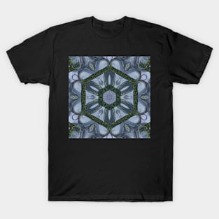 Abstract Sci-fi bio-tech Kaleidoscope pattern (Seamless) 1 T-Shirt